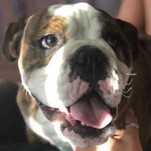 Meet your Posher, Therese